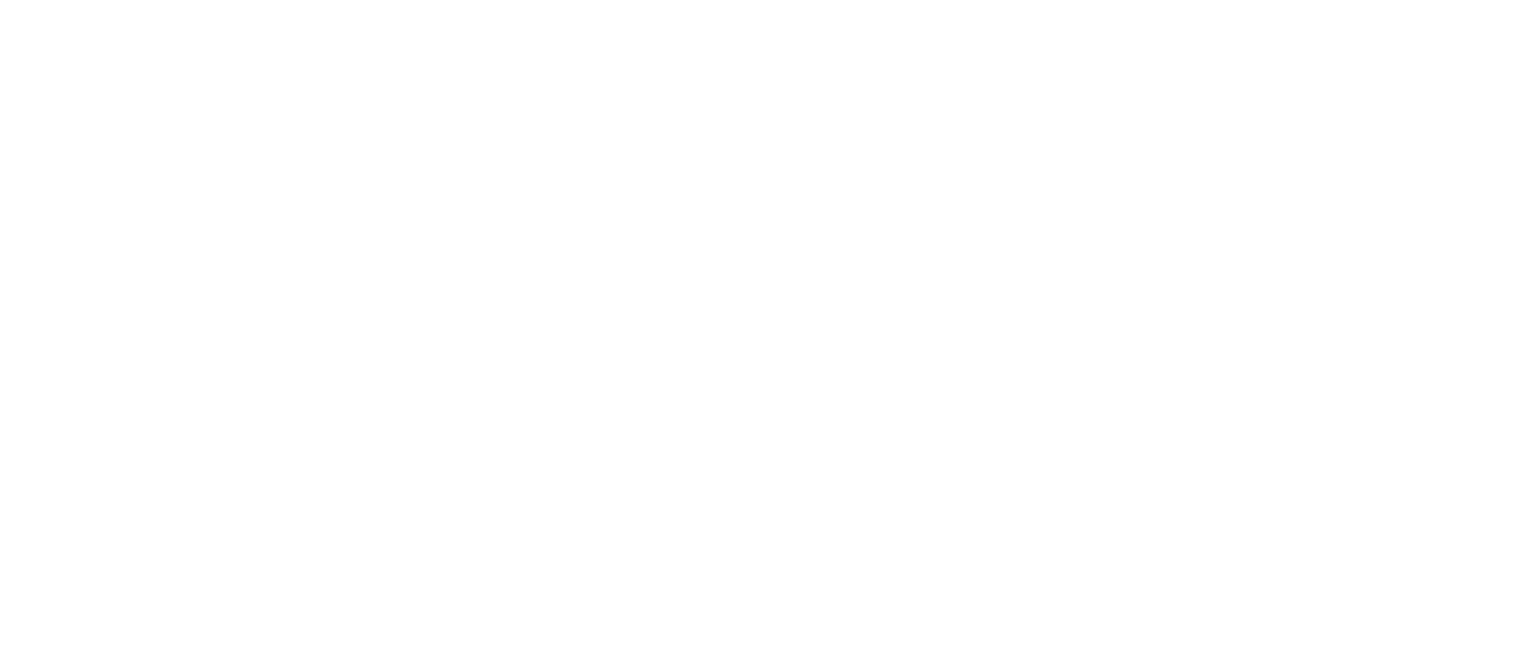 DSM Engines LLC