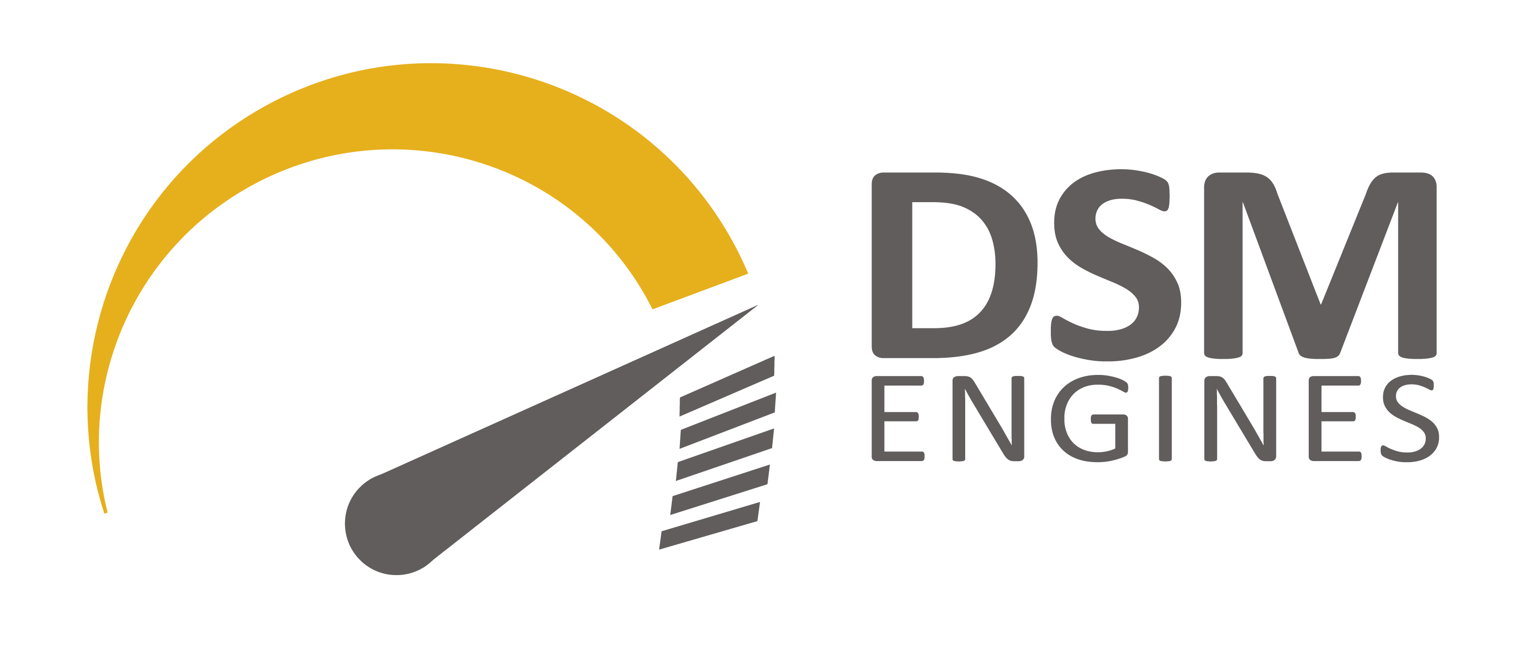 DSM Engines LLC